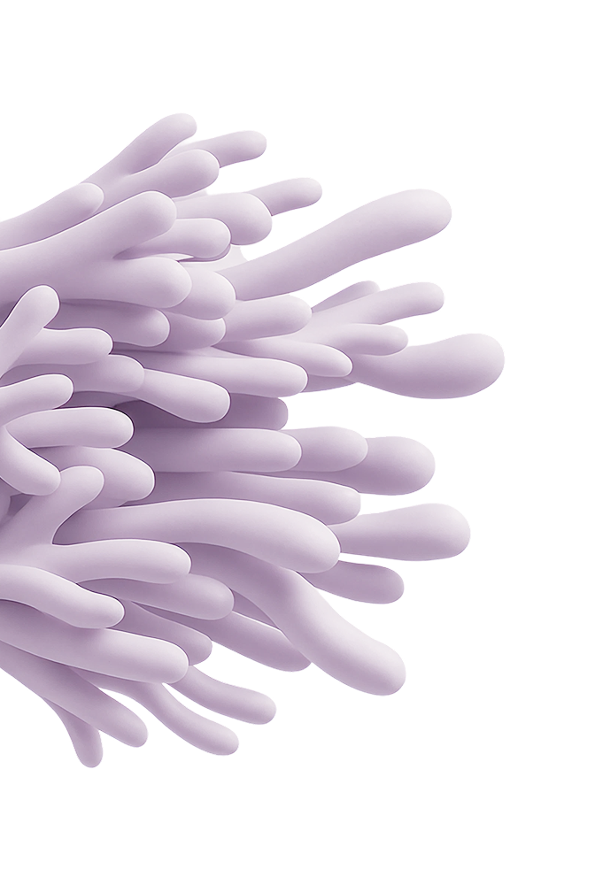 corals
