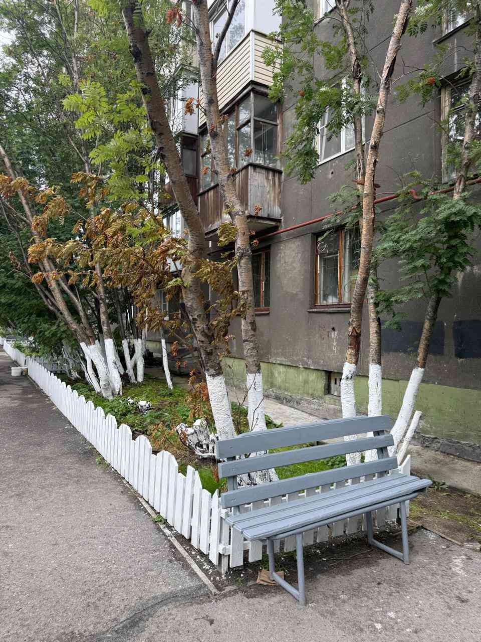 после 6.jpg