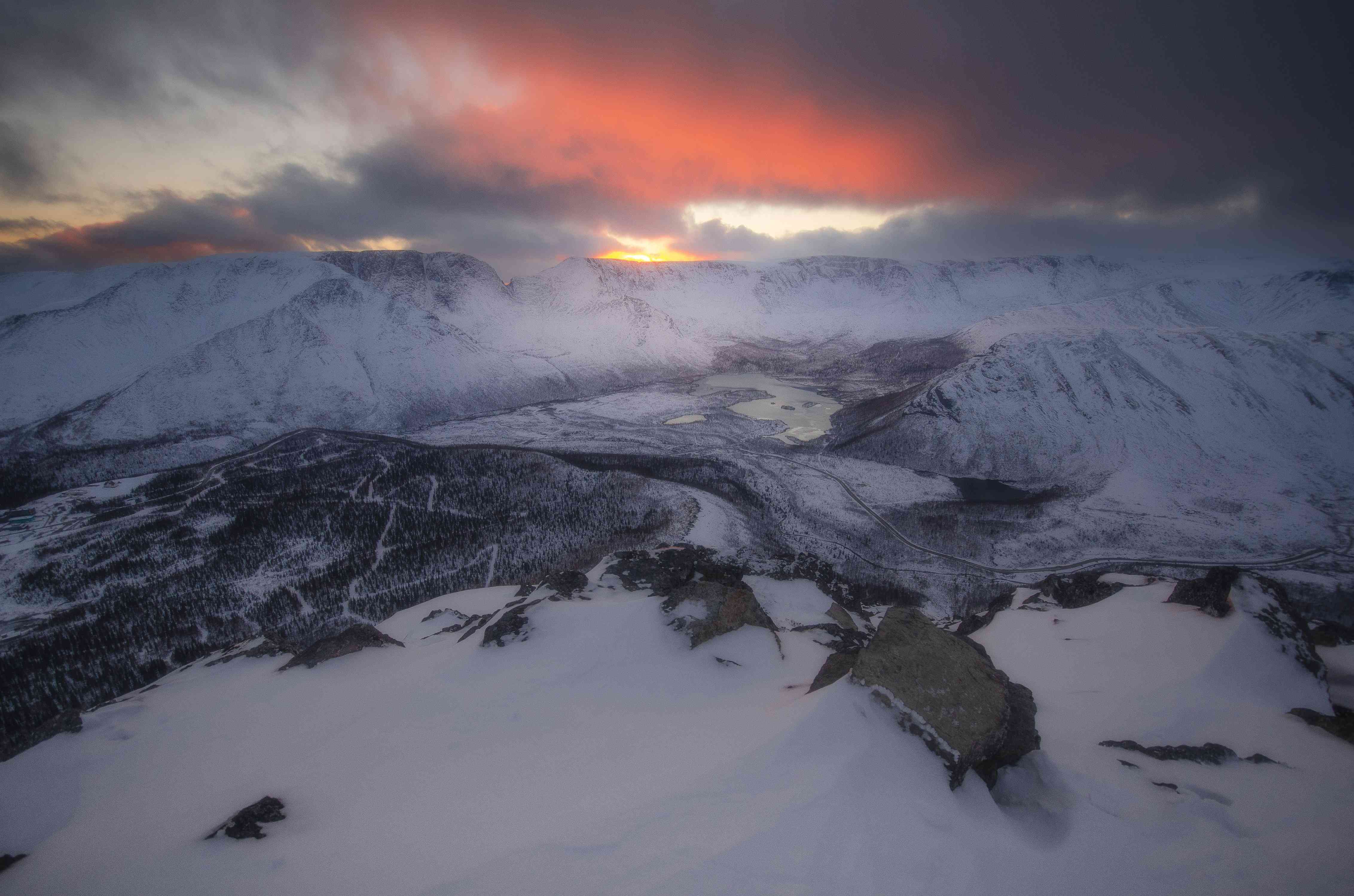 Вертикальный одиночный с кукиса 2024.jpg