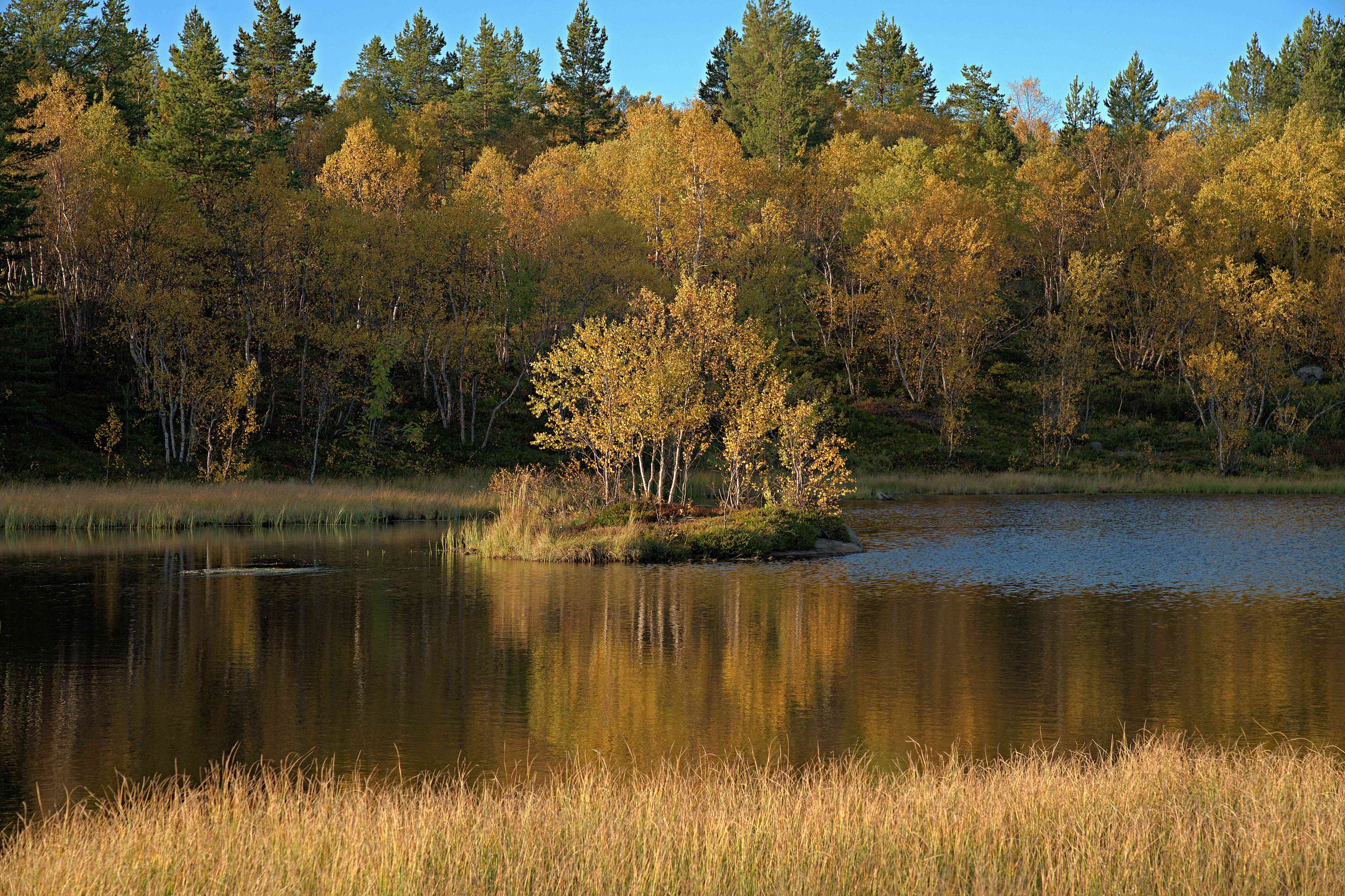 Островок (Долина уюта).jpg