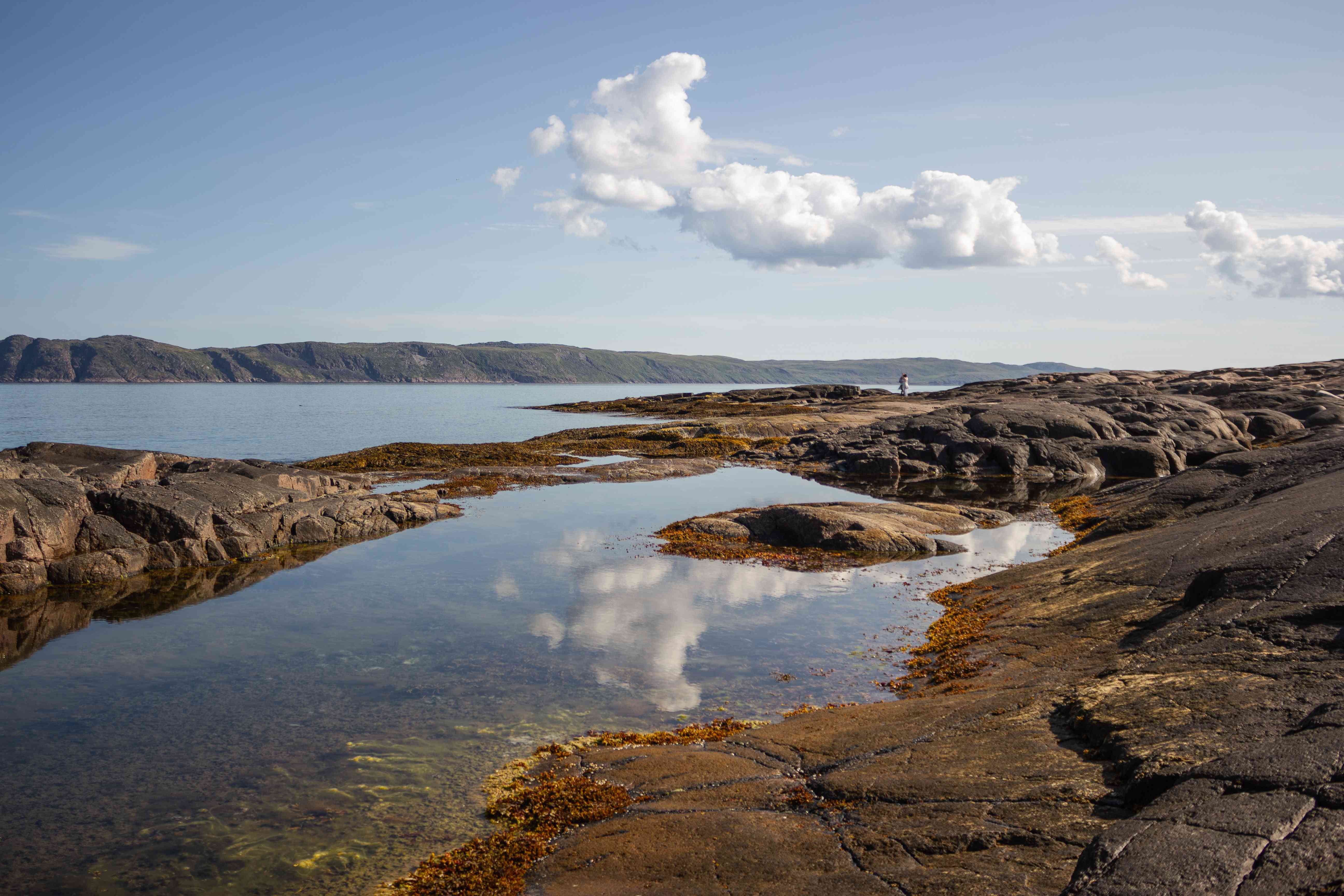 IMG_8599-Териберка. Фотопроект. На краю земли..jpg