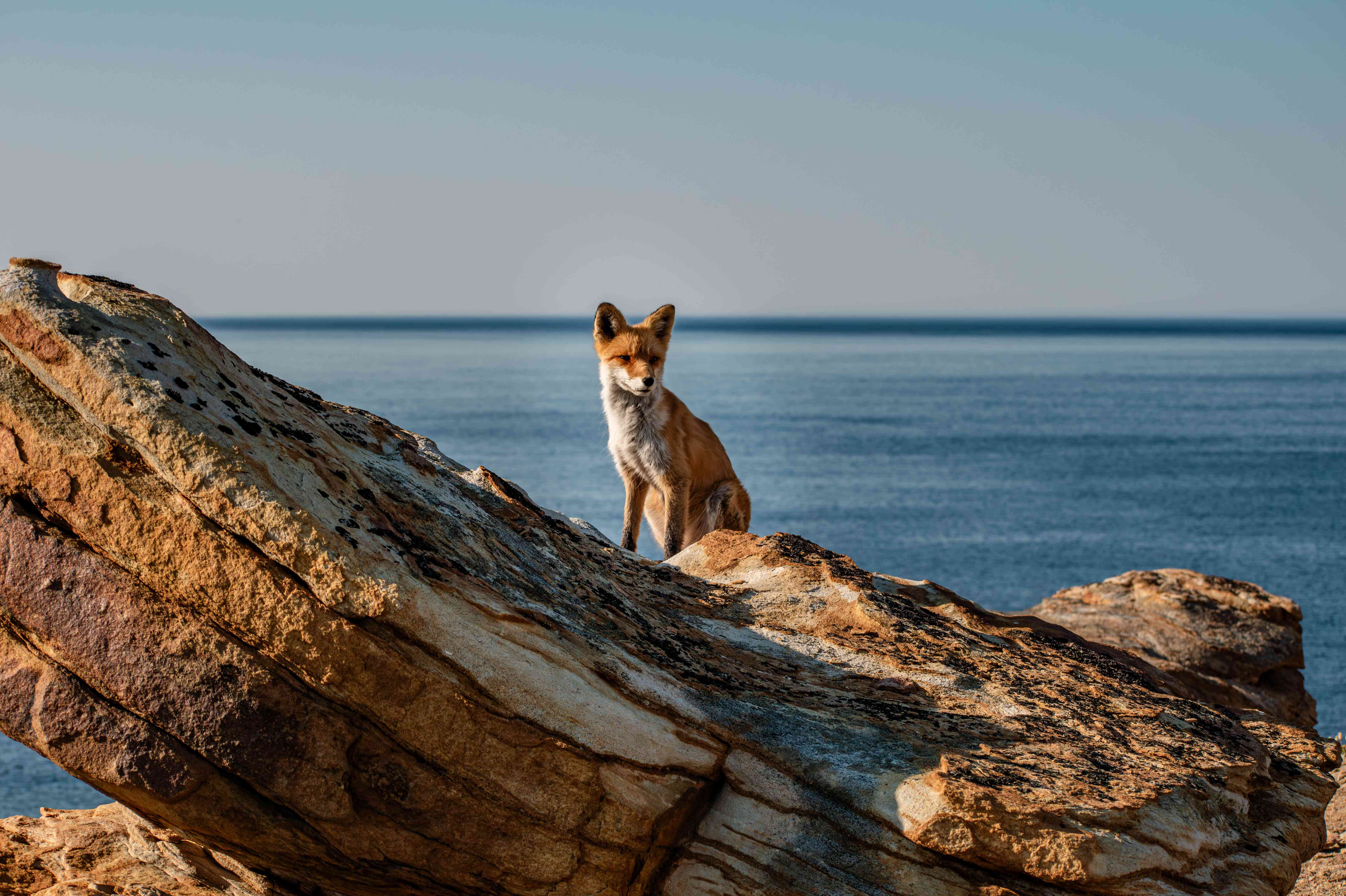 DSC_0916-Улучшено-Ум. шума.jpg