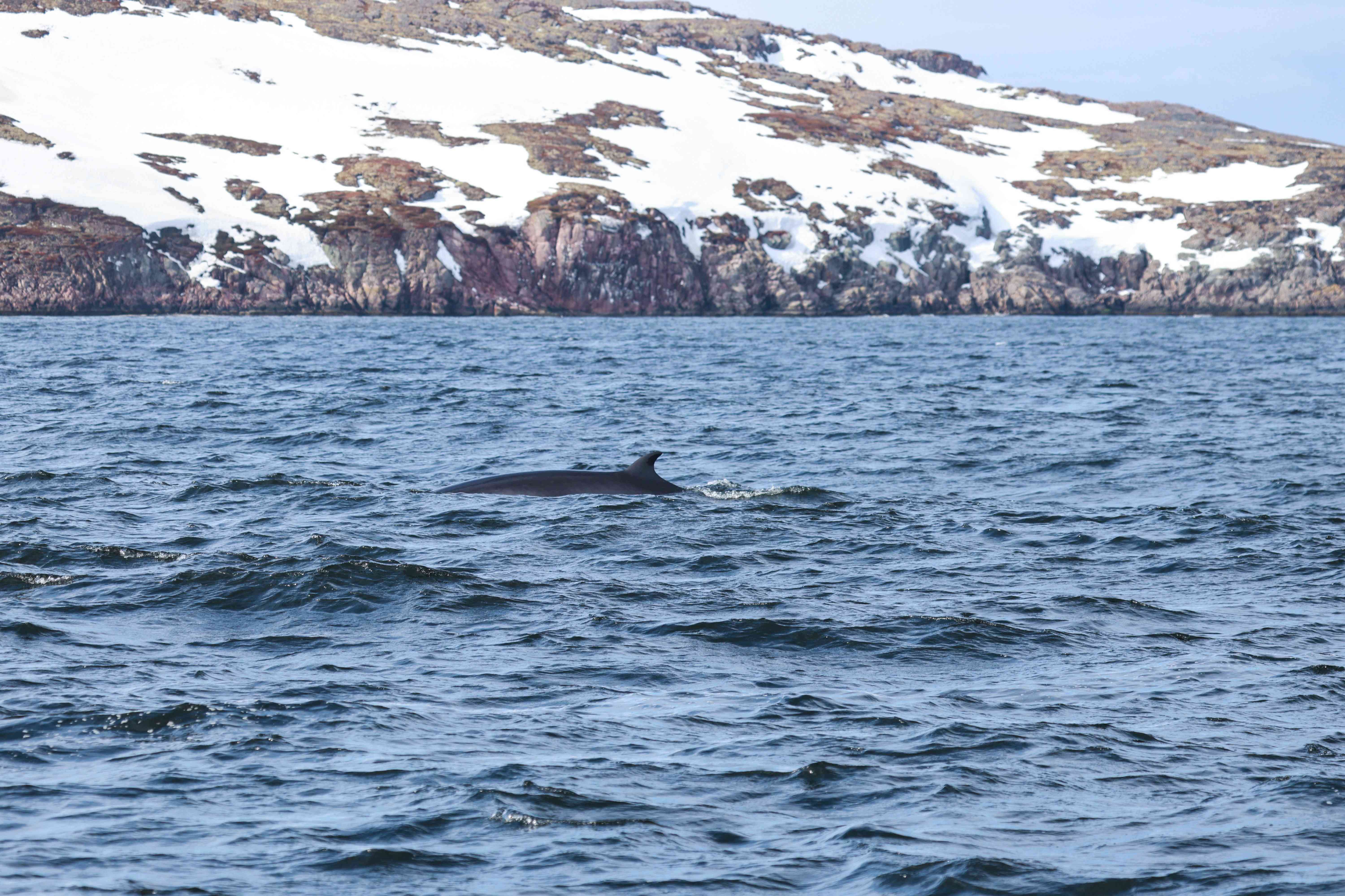 7_Путешествие на край земли.jpg