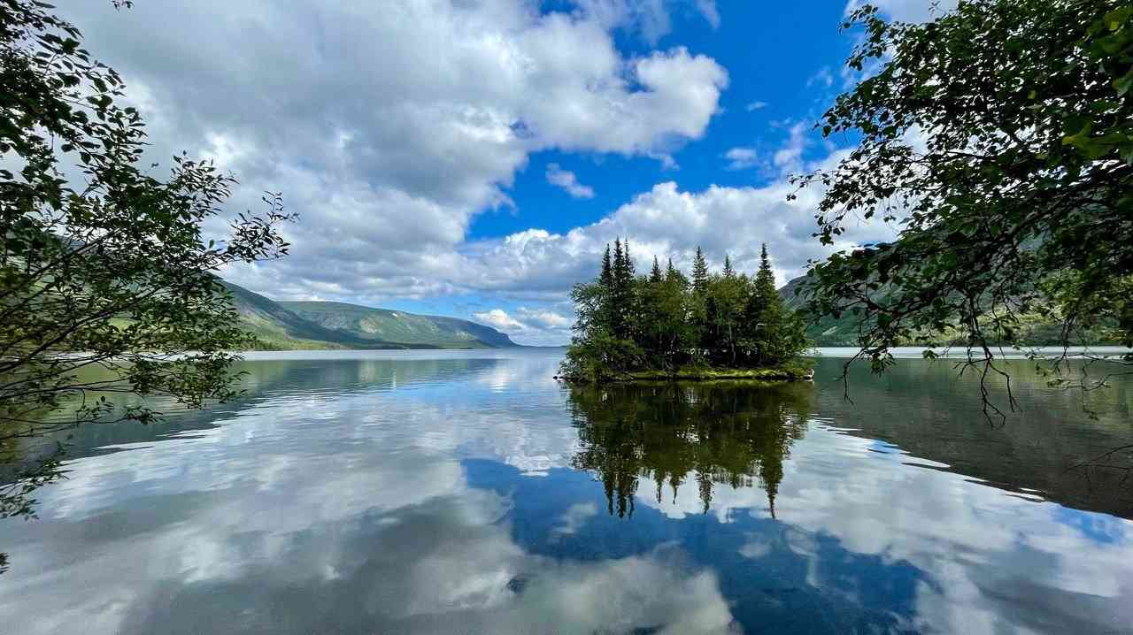 Веселова Л.Ю.JPG