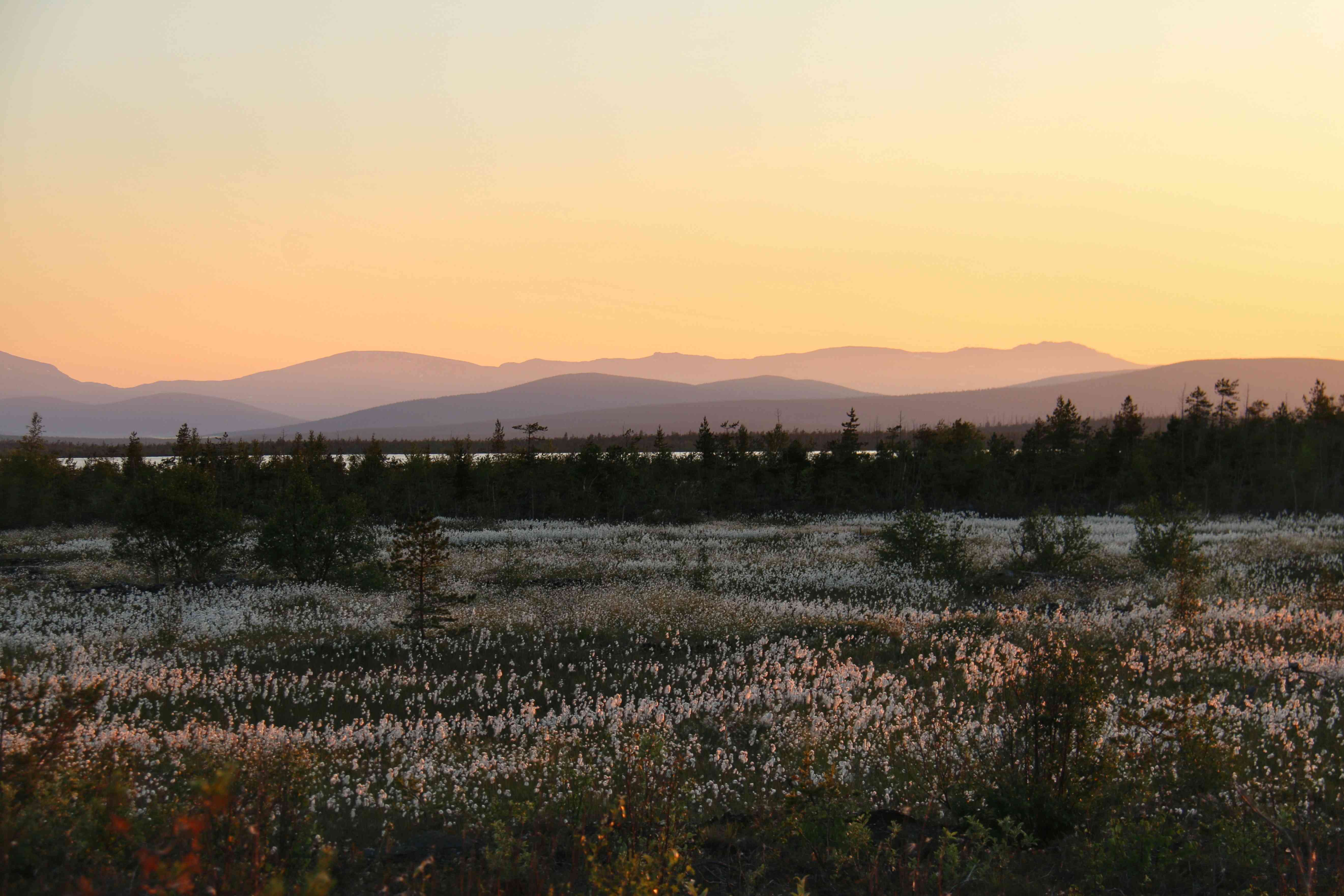 мончегорские просторы.jpeg