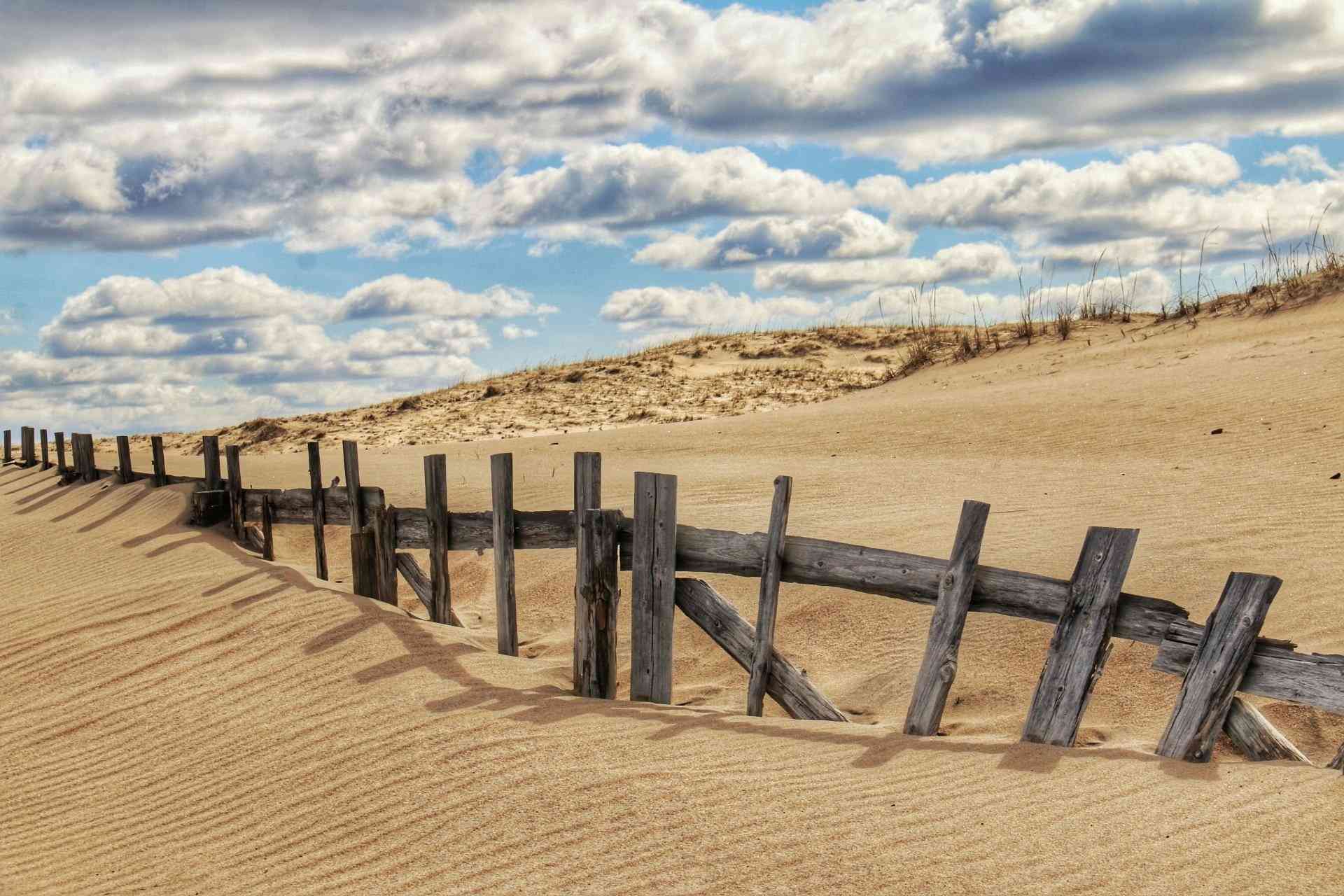 Кузоменьские пески.JPG